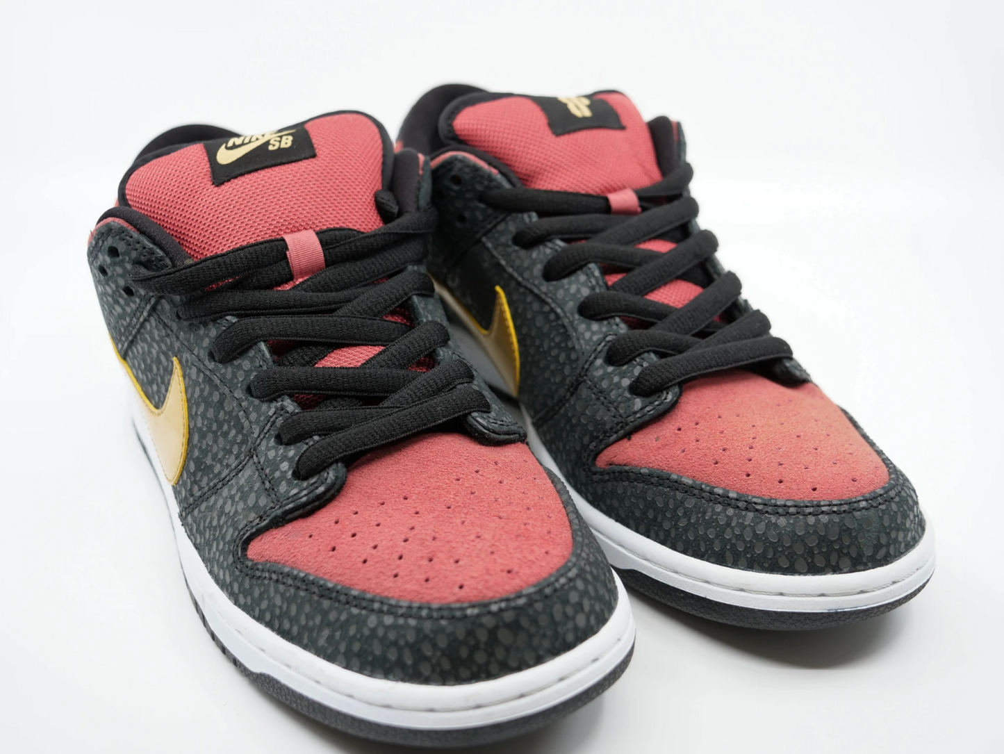 Nike SB Dunk Brookly Projects